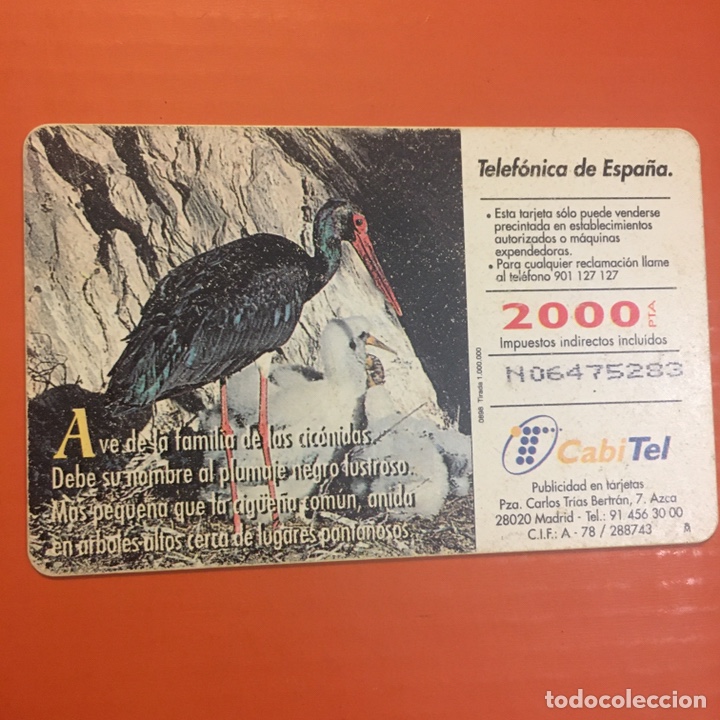 Tarjetas telef&oacute;nicas de colecci&oacute;n: cig&uuml;e&ntilde;a negra 2000+100 - Foto 2