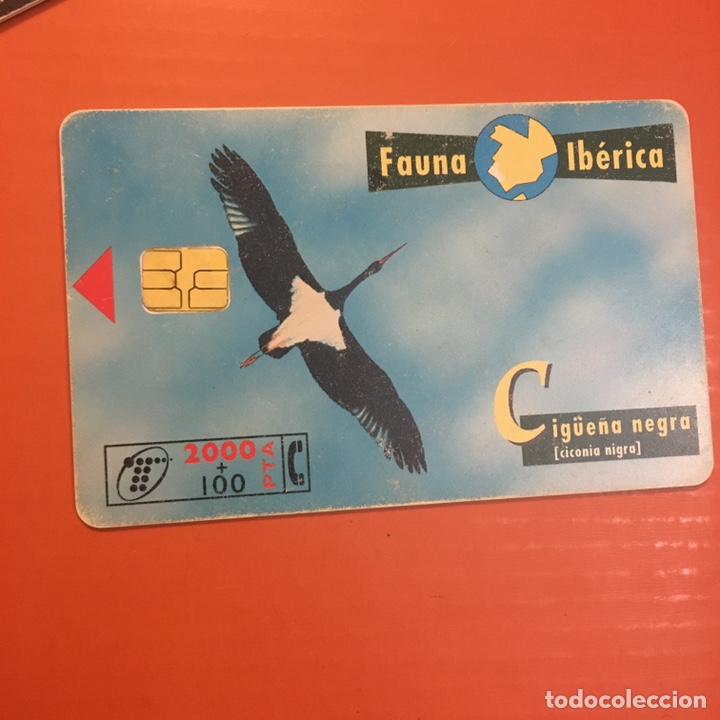 Tarjetas telef&oacute;nicas de colecci&oacute;n: cig&uuml;e&ntilde;a negra 2000+100 - Foto 1