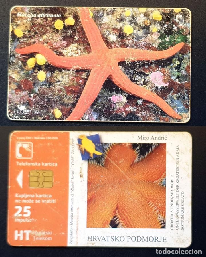 Tarjetas telef&oacute;nicas de colecci&oacute;n: TARJETA TELEFONICA - Foto 1