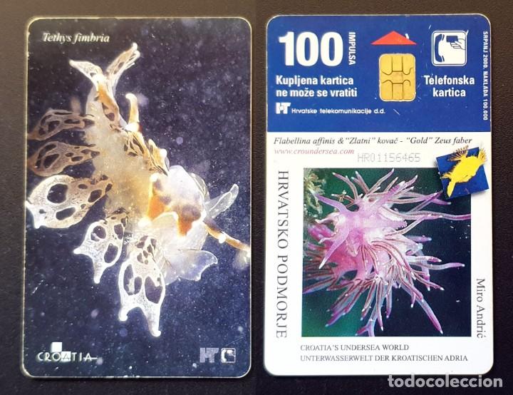 Tarjetas telef&oacute;nicas de colecci&oacute;n: TARJETA TELEFONICA - Foto 1