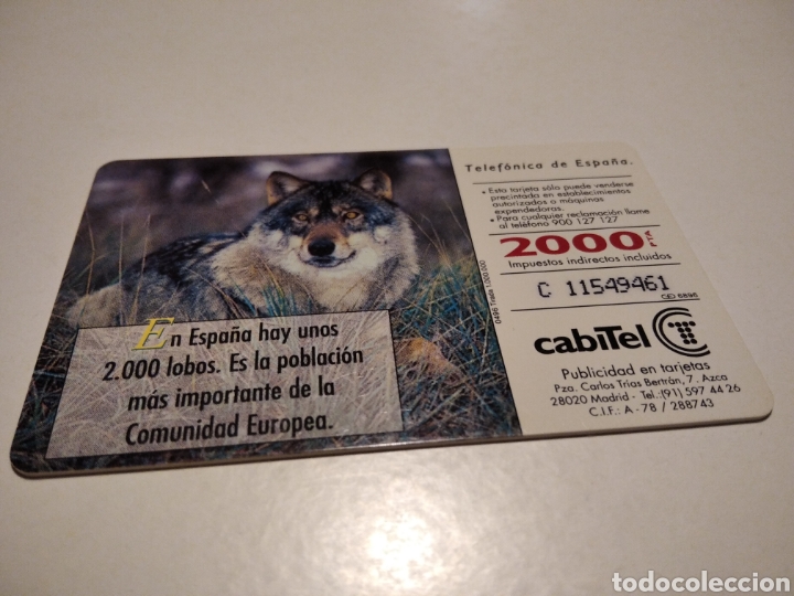Tarjetas telef&oacute;nicas de colecci&oacute;n: Lobo - Foto 2