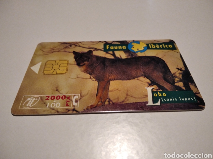 Tarjetas telef&oacute;nicas de colecci&oacute;n: Lobo - Foto 1