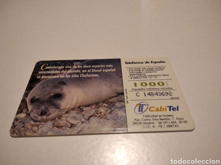 Tarjetas telef&oacute;nicas de colecci&oacute;n: Foca monje - Foto 2