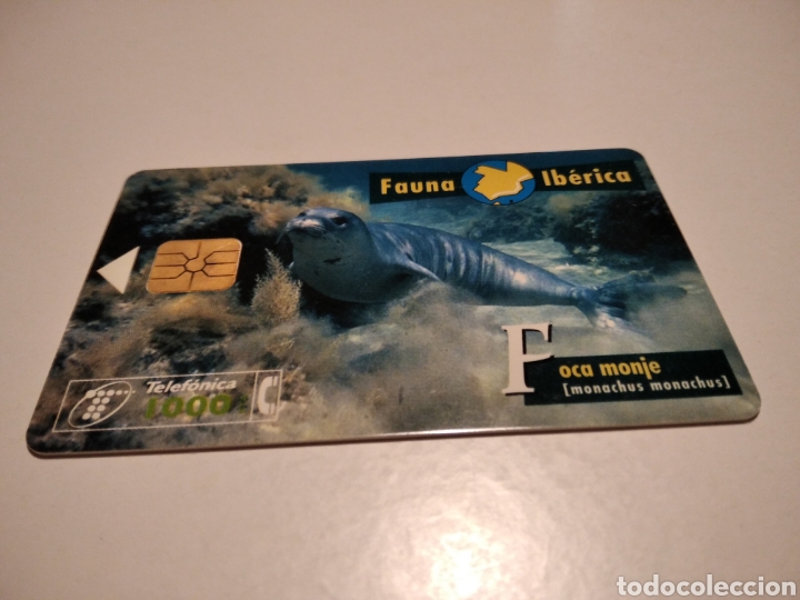 Tarjetas telef&oacute;nicas de colecci&oacute;n: Foca monje - Foto 1