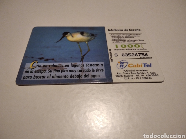 Tarjetas telef&oacute;nicas de colecci&oacute;n: Avoceta - Foto 2