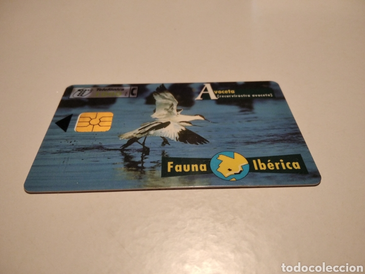 Tarjetas telef&oacute;nicas de colecci&oacute;n: Avoceta - Foto 1