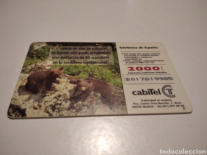 Tarjetas telef&oacute;nicas de colecci&oacute;n: Oso pardo - Foto 2