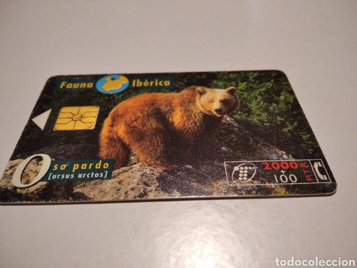 Tarjetas telef&oacute;nicas de colecci&oacute;n: Oso pardo - Foto 1