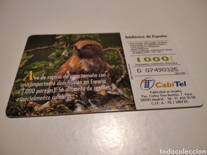 Tarjetas telef&oacute;nicas de colecci&oacute;n: &Aacute;guila culebrera - Foto 2