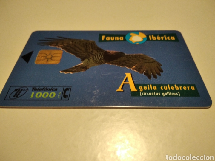 Sammlung von Telefonkarten: &Aacute;guila culebrera