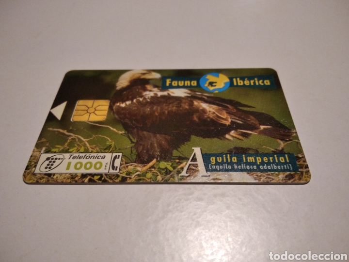 Tarjetas telef&oacute;nicas de colecci&oacute;n: &Aacute;guila imperial - Foto 1