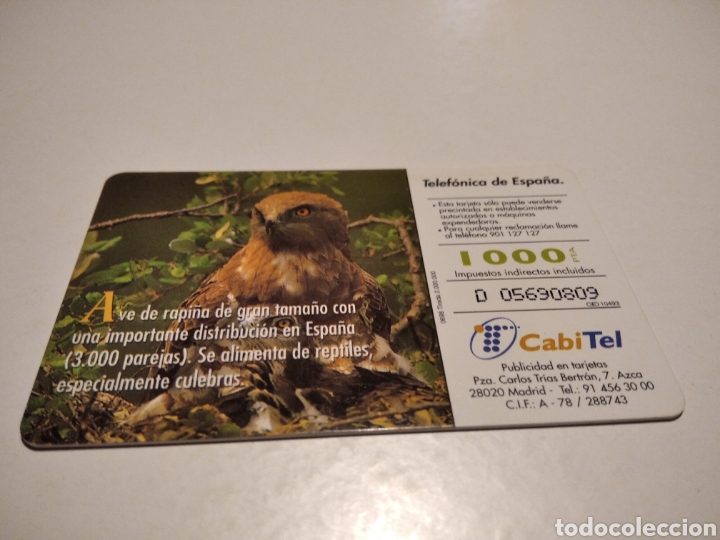 Tarjetas telef&oacute;nicas de colecci&oacute;n: Aguila culebrera - Foto 2