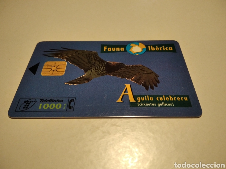 Tarjetas telef&oacute;nicas de colecci&oacute;n: Aguila culebrera - Foto 1