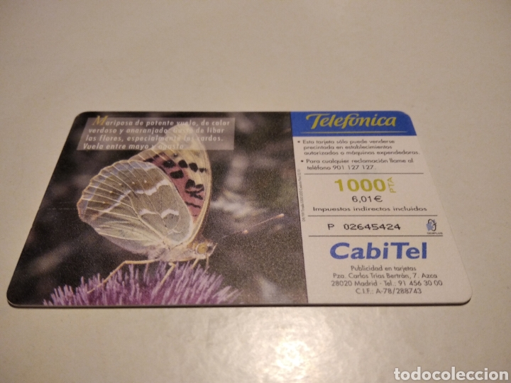 Tarjetas telef&oacute;nicas de colecci&oacute;n: Mariposa Pandora - Foto 2
