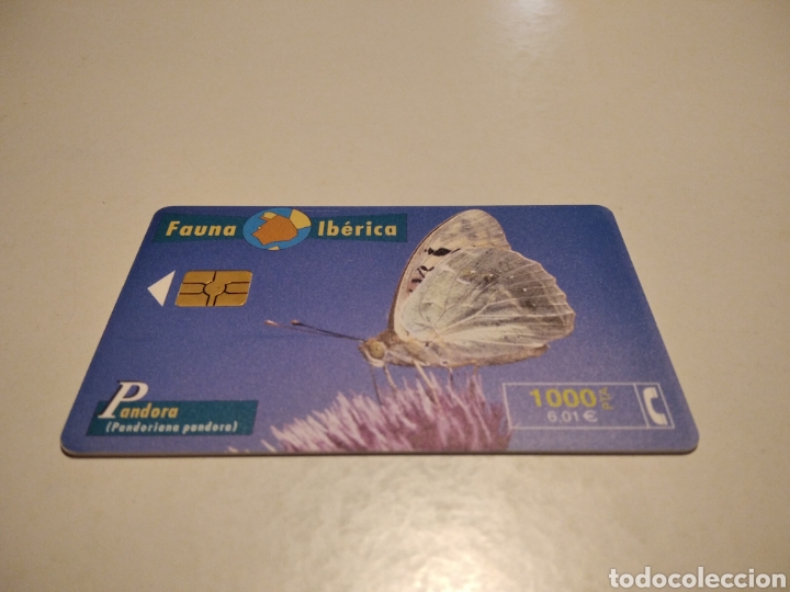 Tarjetas telef&oacute;nicas de colecci&oacute;n: Mariposa Pandora - Foto 1