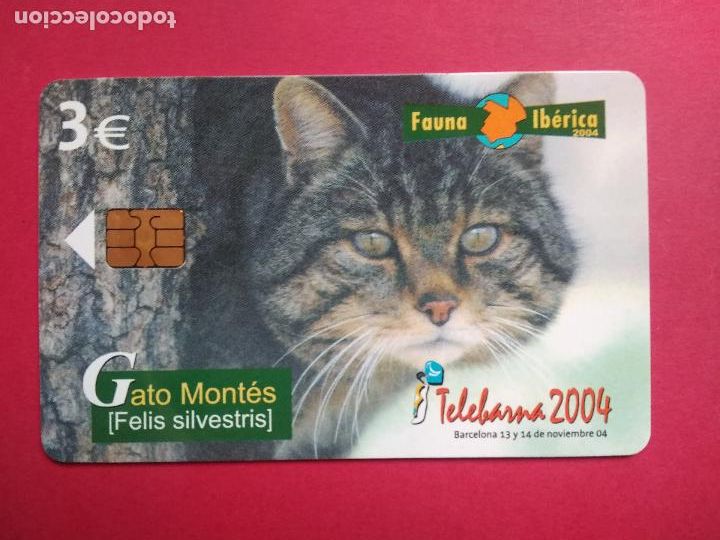 Collection telephone cards: TARJETA TELEFONICA DE ESPA&Ntilde;A USADA EMISION PRIVADA TIRADA 4.500 09/04 GATO MONTES FAUNA IBERICA