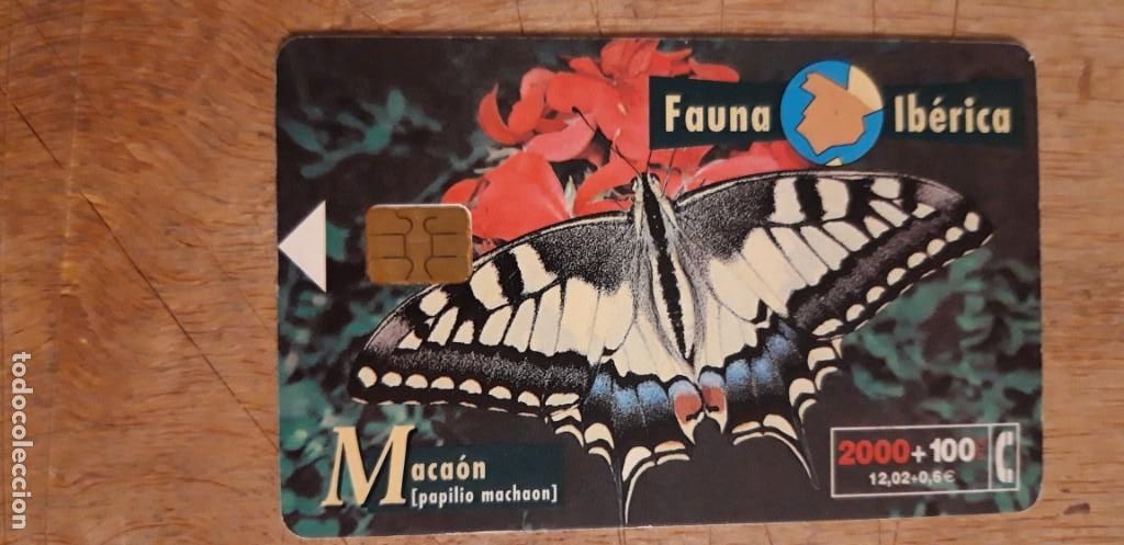 Collection telephone cards: 1 2000 PTS TARJETA TELEFONICA ** FAUNA IBERICAS. MARIPOSA MACAON . ** 2000 PTS. 08/99