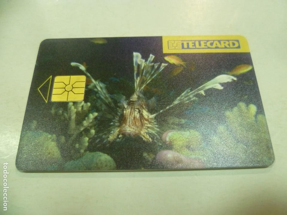 Tarjetas telef&oacute;nicas de colecci&oacute;n: Telecard Rep&uacute;blica Checa - Foto 1