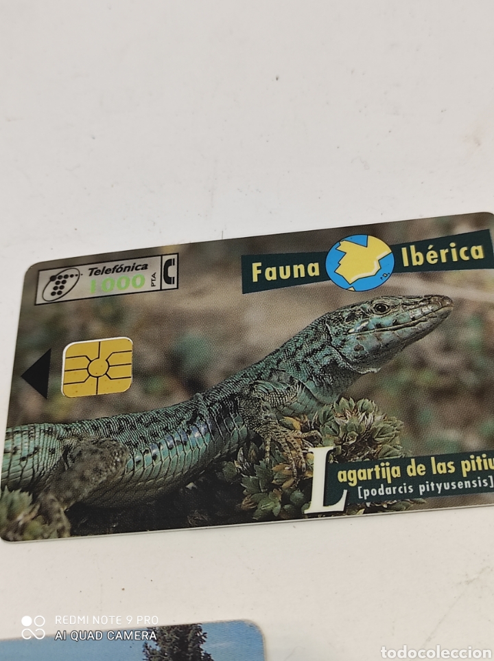 Tarjetas telef&oacute;nicas de colecci&oacute;n: Cinco tarjetas telef&oacute;nicas. - Foto 6