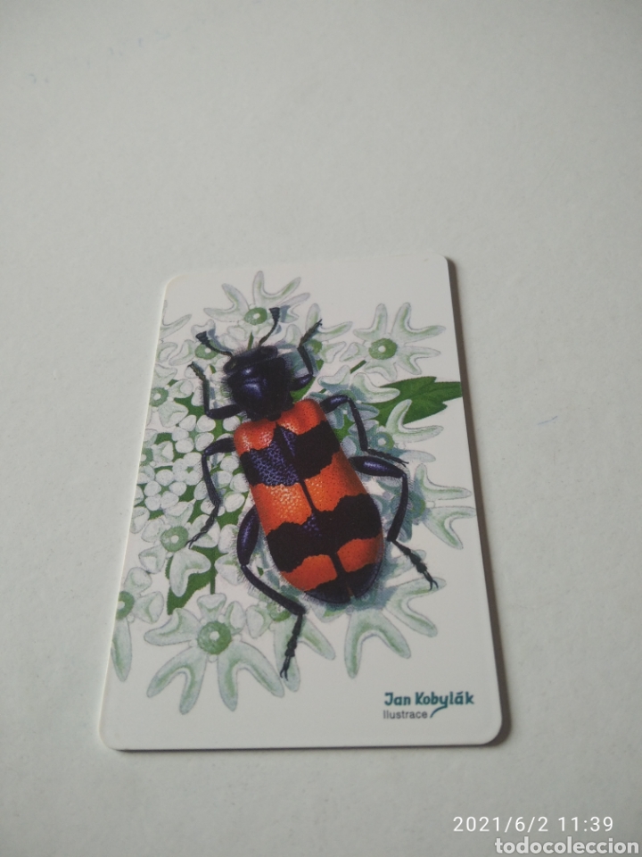 Tarjetas telef&oacute;nicas de colecci&oacute;n: Tarjeta telef&oacute;nica Chequia trichodes apiarius - Foto 1