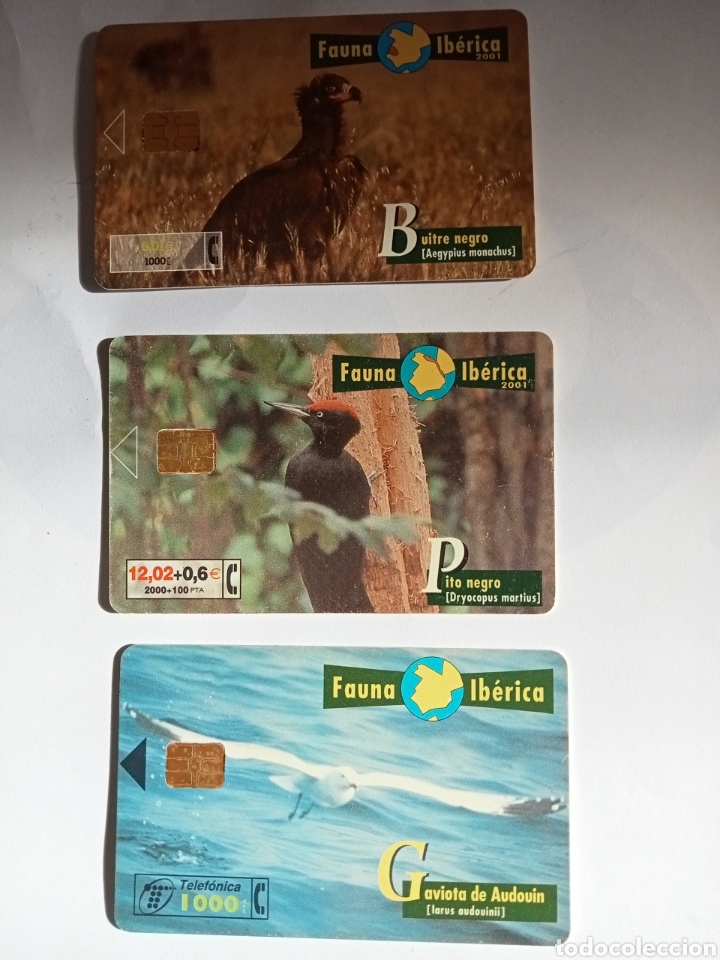 Sammlung von Telefonkarten: Tarjetas telef&oacute;nicas Fauna ib&eacute;rica