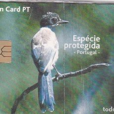Tarjetas telefónicas de colección: TARJETA DE PORTUGAL DE UN PEGA AZUL (BIRD-PAJARO) - NUEVA-MINT. Lote 402174904