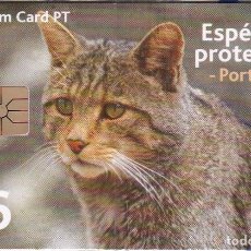 Tarjetas telefónicas de colección: TARJETA DE PORTUGAL DE UN GATO MONTES (CAT) NUEVA-MINT. Lote 402174774