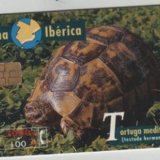 Tarjetas telefónicas de colección: FAUNA IBERICA-TORTUGA MEDITERRANEA-ESPAÑA