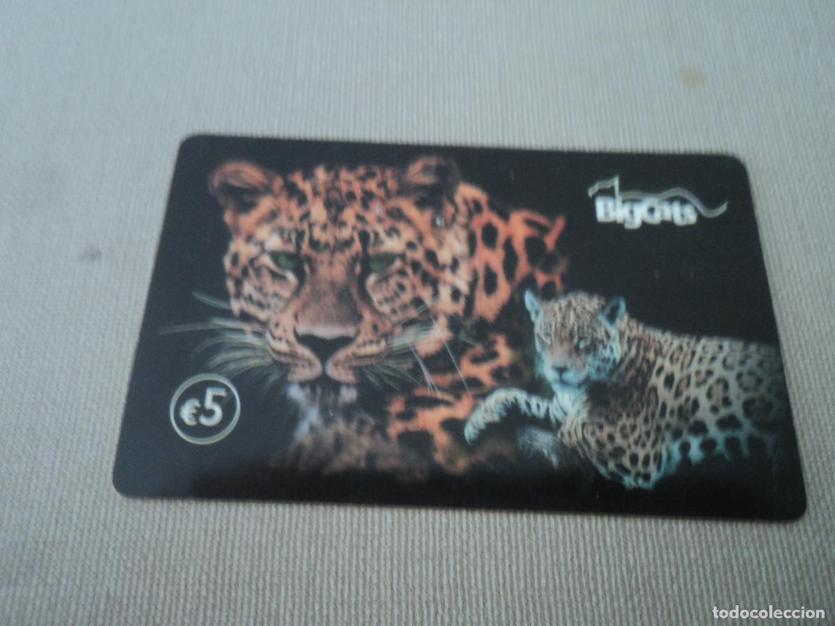 Tarjetas telef&oacute;nicas de colecci&oacute;n: TARJETA TELEFONICA, BIGCATS, 5 E. - Foto 1