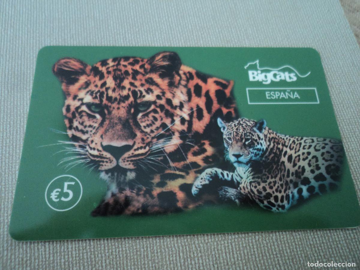 Tarjetas telef&oacute;nicas de colecci&oacute;n: TARJETA TELEFONICA, BIGCATS 5 E - Foto 1