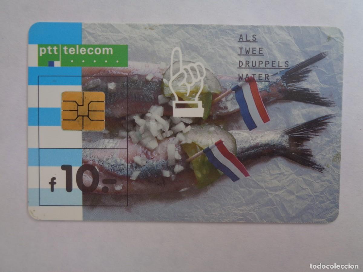 Tarjetas telef&oacute;nicas de colecci&oacute;n: TARJETA TELEFONICA DE HOLANDA . CON CHIP - Foto 1