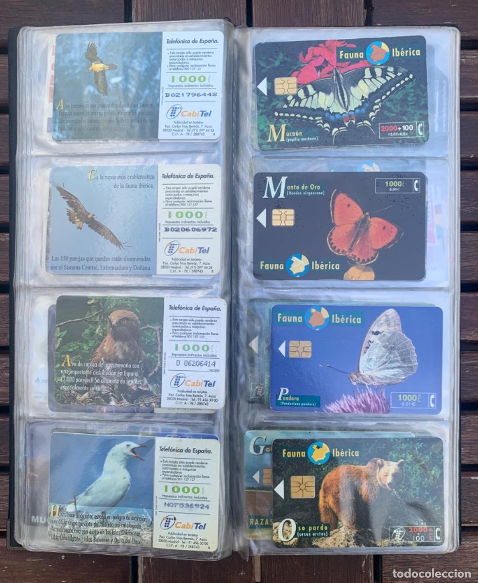 Tarjetas telef&oacute;nicas de colecci&oacute;n: 55 tarjetas Espa&ntilde;a y 12 extranjeras. - Foto 8