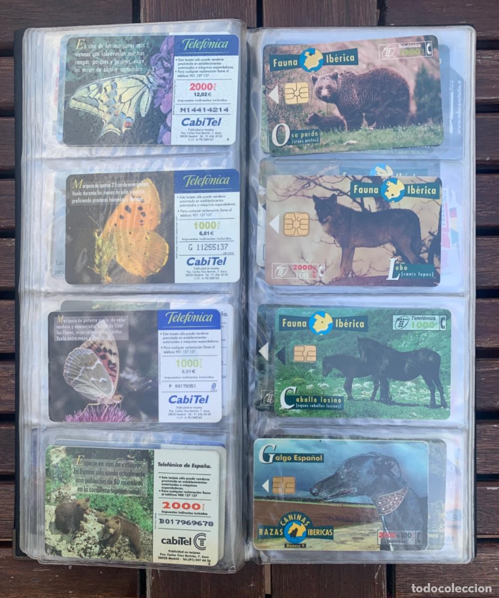 Tarjetas telef&oacute;nicas de colecci&oacute;n: 55 tarjetas Espa&ntilde;a y 12 extranjeras. - Foto 9