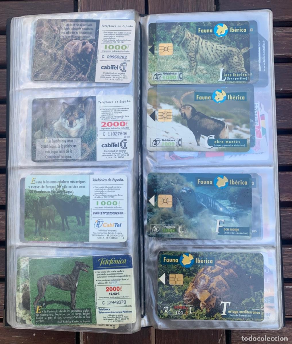 Tarjetas telef&oacute;nicas de colecci&oacute;n: 55 tarjetas Espa&ntilde;a y 12 extranjeras. - Foto 10