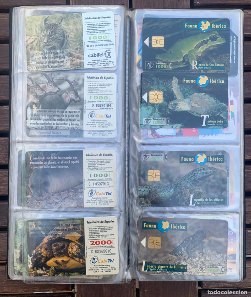 Tarjetas telef&oacute;nicas de colecci&oacute;n: 55 tarjetas Espa&ntilde;a y 12 extranjeras. - Foto 11