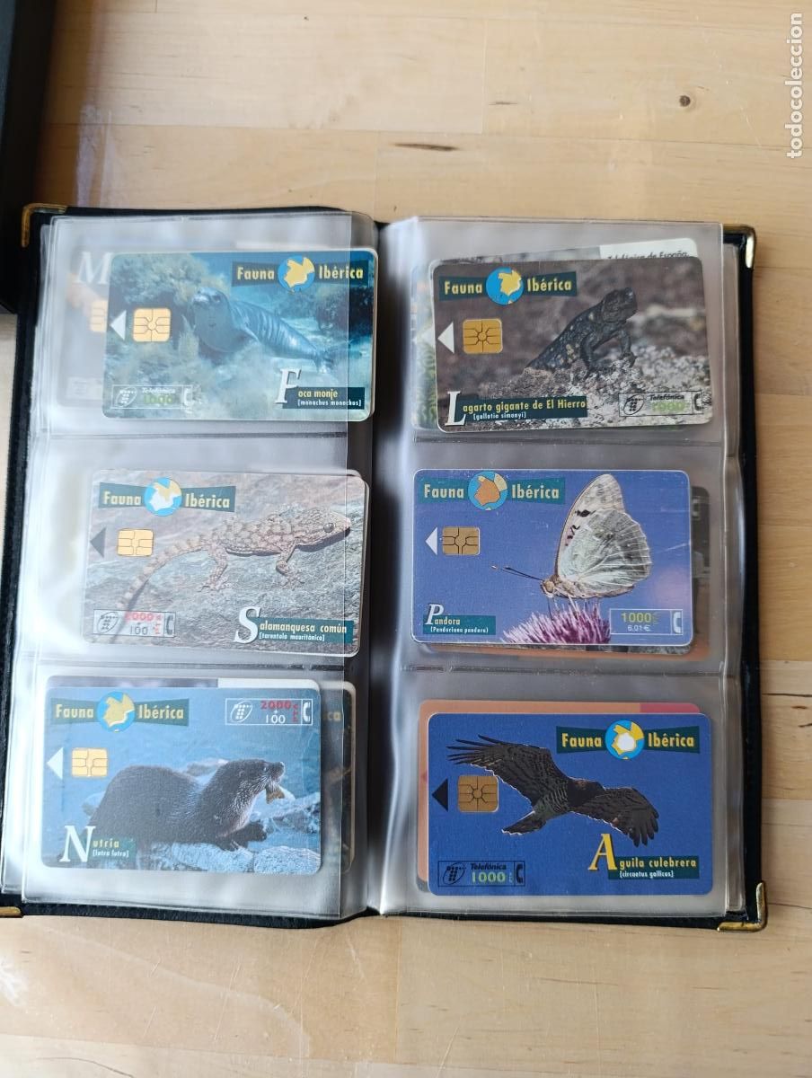 Tarjetas telef&oacute;nicas de colecci&oacute;n: LOTE TARJETAS TELEFONICAS. - Foto 2