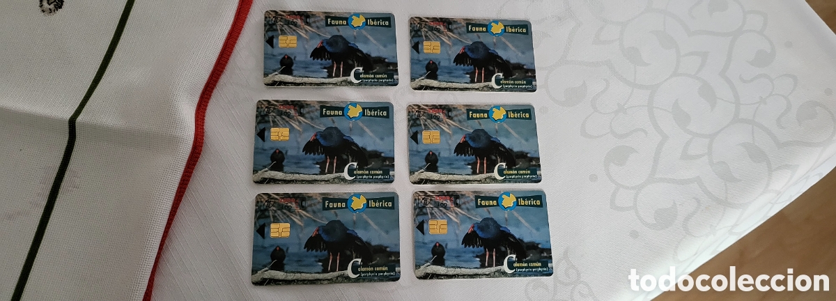 Tarjetas telef&oacute;nicas de colecci&oacute;n: 6 tarjetas calam&oacute;n com&uacute;n telef&oacute;nica - Foto 1