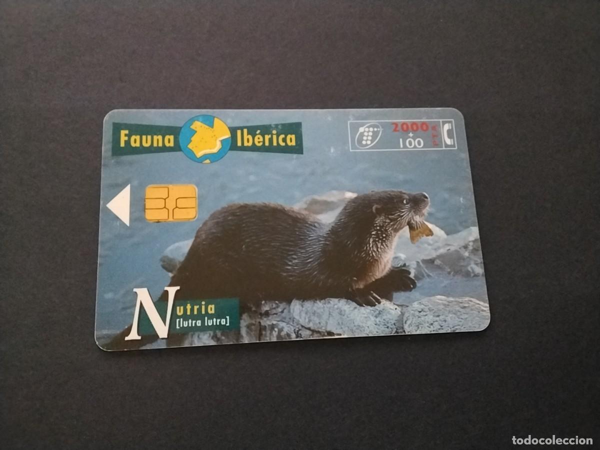 Tarjetas telef&oacute;nicas de colecci&oacute;n: Tarjeta telef&oacute;nica variada - Foto 1