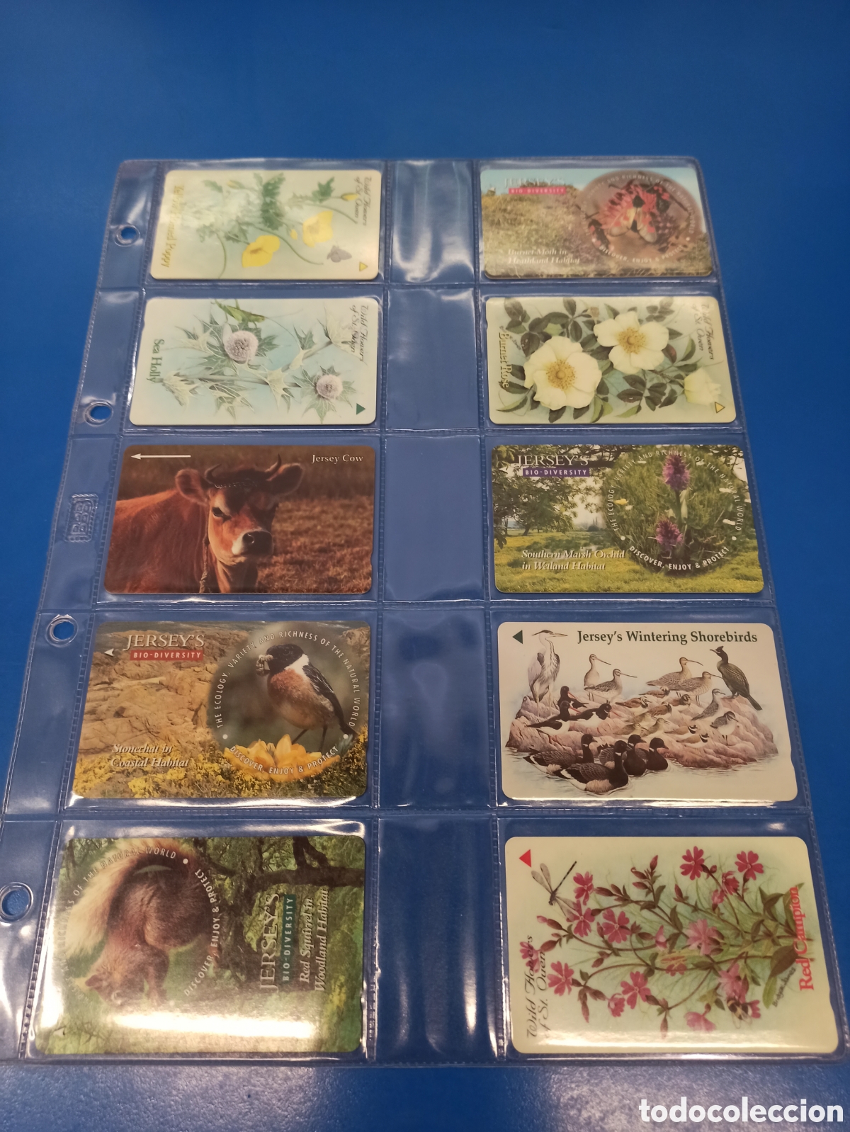 Tarjetas telef&oacute;nicas de colecci&oacute;n: Tarjetas telef&oacute;nicas JERSEY - Foto 1
