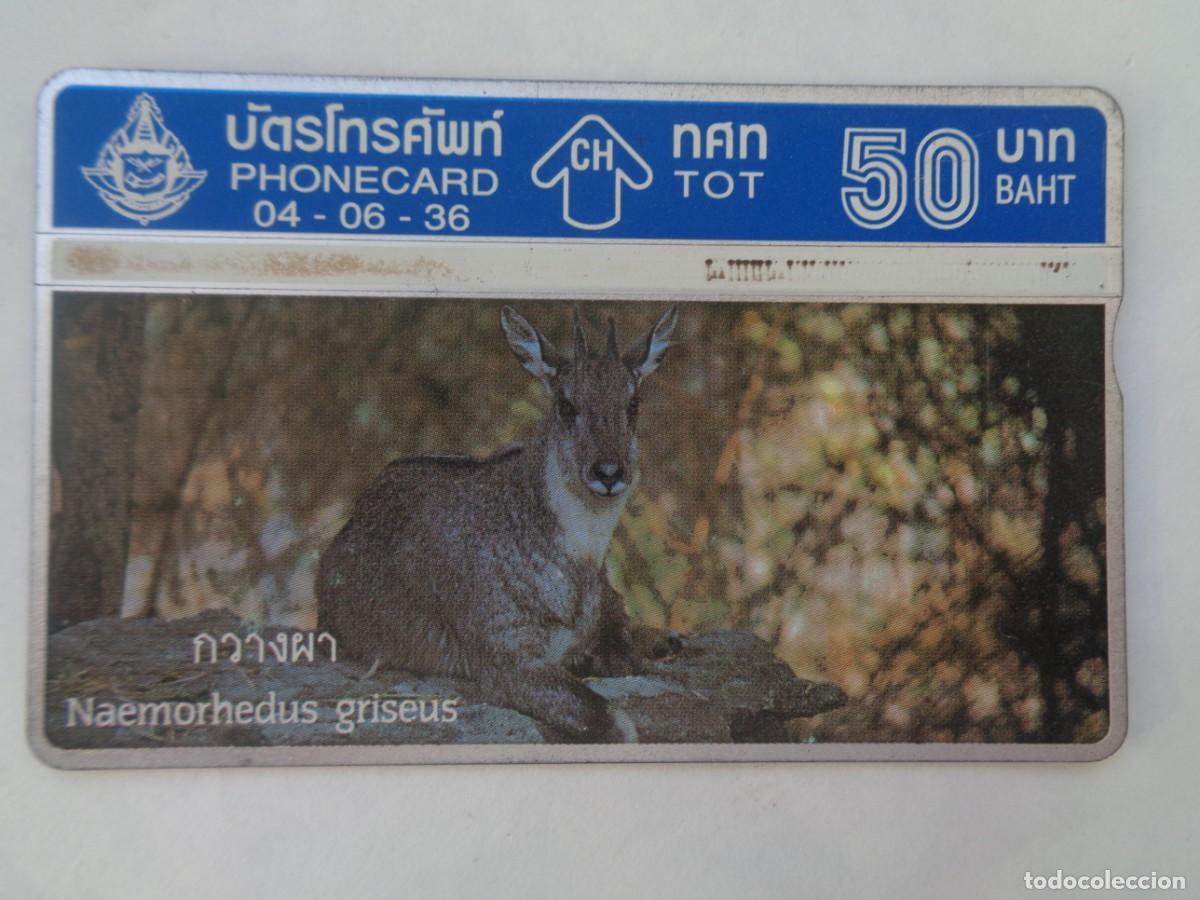 Tarjetas telef&oacute;nicas de colecci&oacute;n: TARJETA TELEFONICA DE TAILANDIA - Foto 1