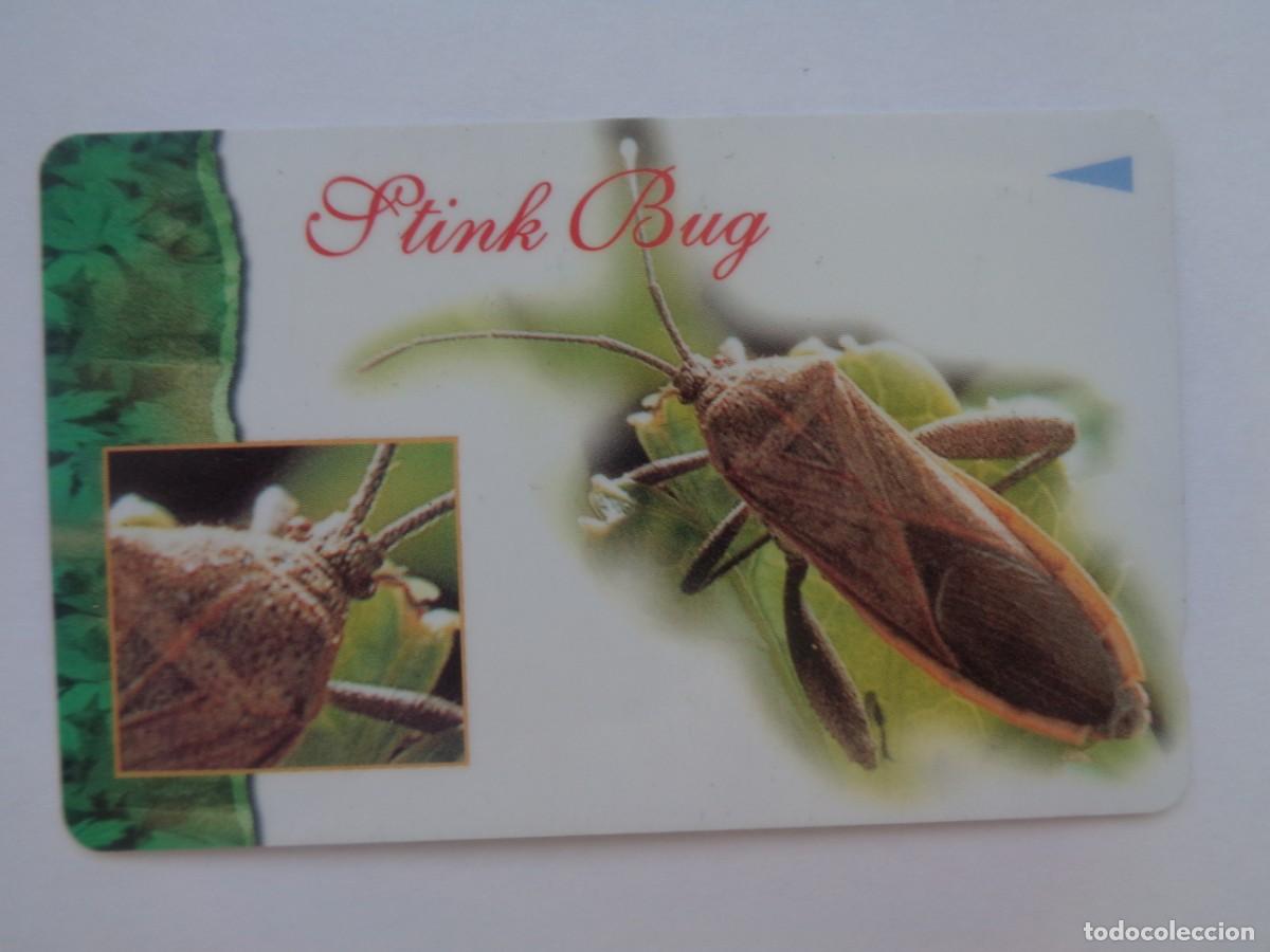 Tarjetas telef&oacute;nicas de colecci&oacute;n: TARJETA TELEFONICA DE SINGAPUR - Foto 1