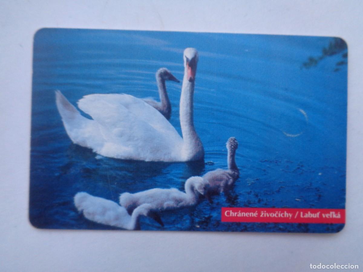 Tarjetas telef&oacute;nicas de colecci&oacute;n: TARJETA TELEFONICA DE ESLOVAQUIA . CON CHIP - Foto 1
