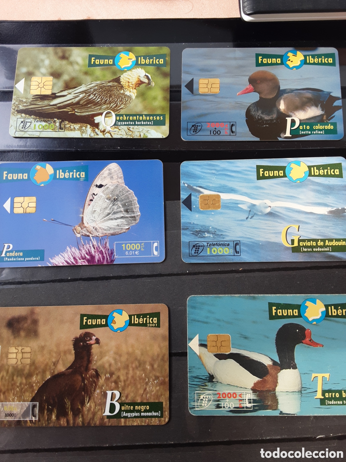 Tarjetas telef&oacute;nicas de colecci&oacute;n: Tarjetas telef&oacute;nicas de Espa&ntilde;a - Foto 1