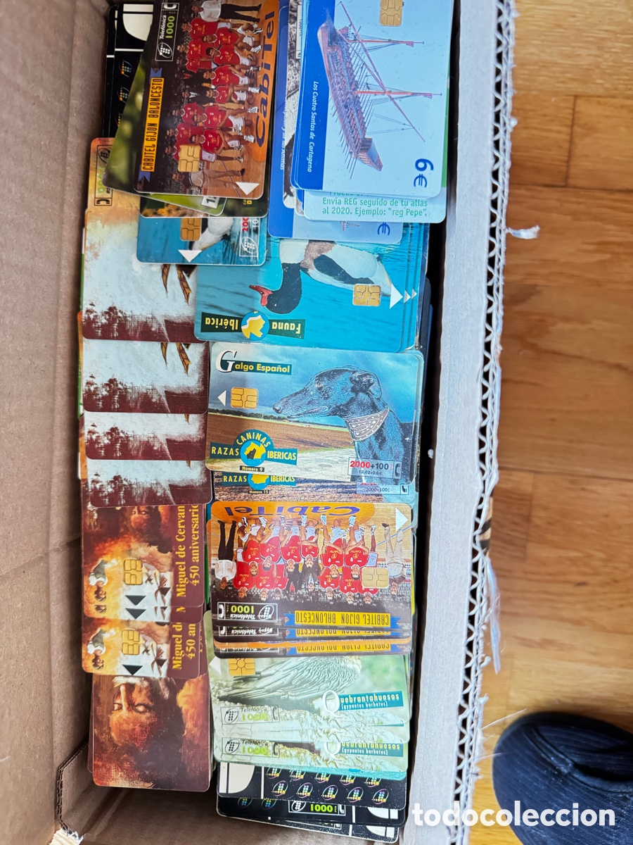 Tarjetas telef&oacute;nicas de colecci&oacute;n: Lote de mas de 1000 tarjetas telef&oacute;nicas