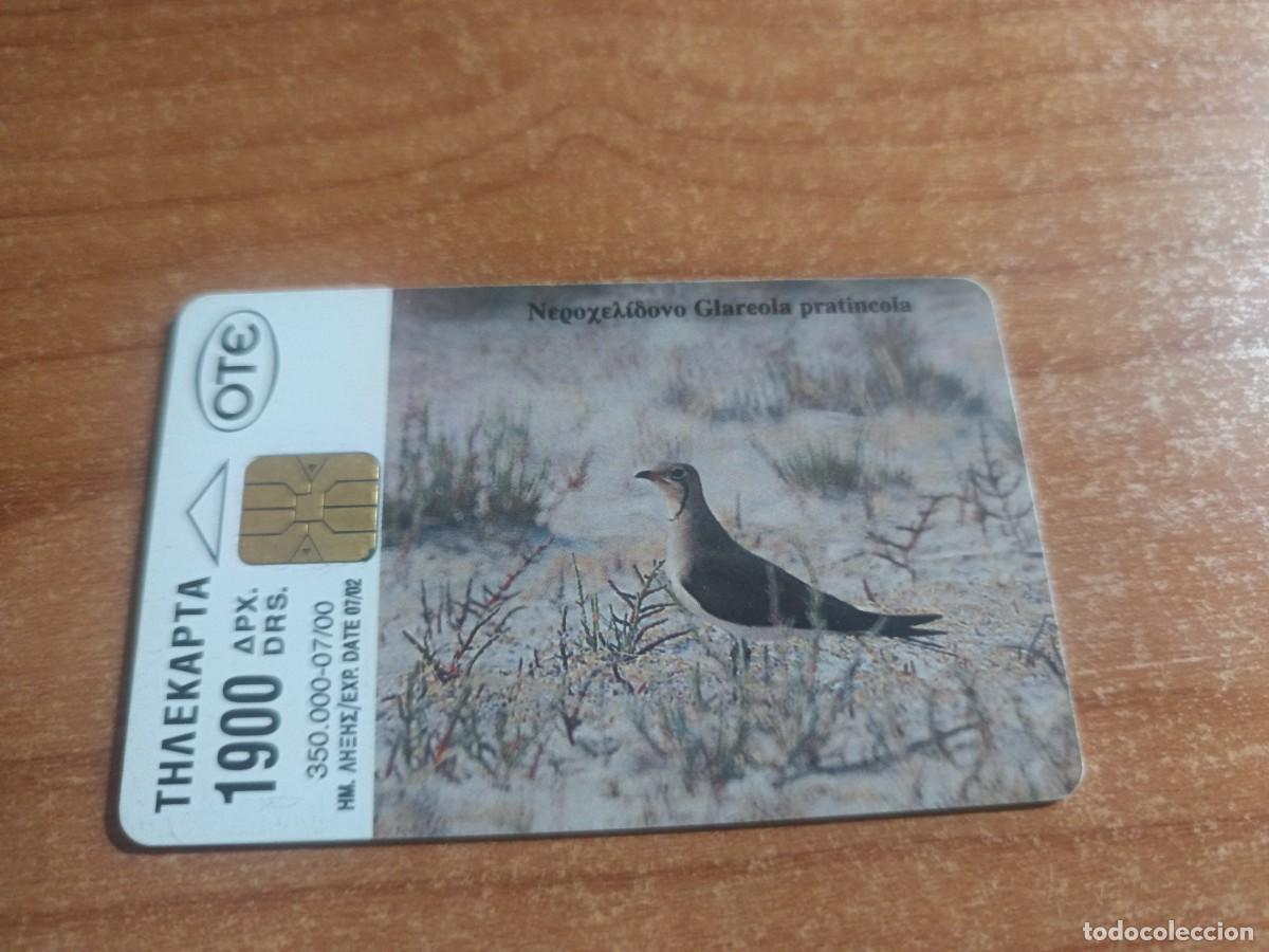 Tarjetas telef&oacute;nicas de colecci&oacute;n: Tarjeta dE TELEFONICAS- Glareola pratincola....GRECIA