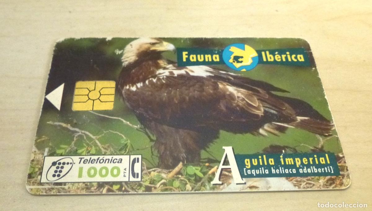 Tarjetas telef&oacute;nicas de colecci&oacute;n: Tarjeta Telef&oacute;nica Cabltel 1000 ptas. Fauna Ib&eacute;rica Aguila Imperial