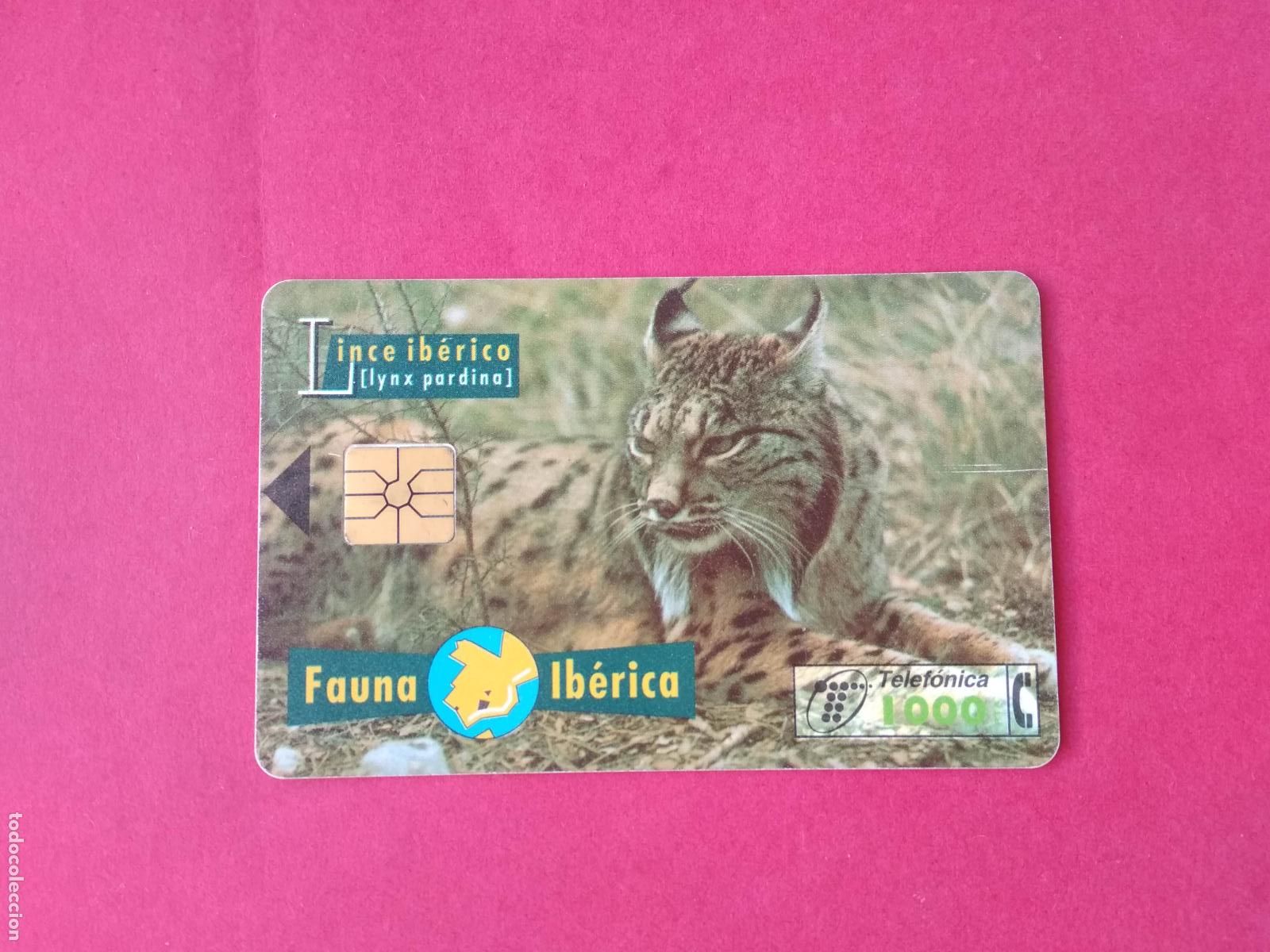 Tarjetas telef&oacute;nicas de colecci&oacute;n: TARJETA TELEFONICA DE ESPA&Ntilde;A USADA B - 049 05/96 LINCE IBERICO FAUNA IBERICA TARGETAS TELEFONICAS