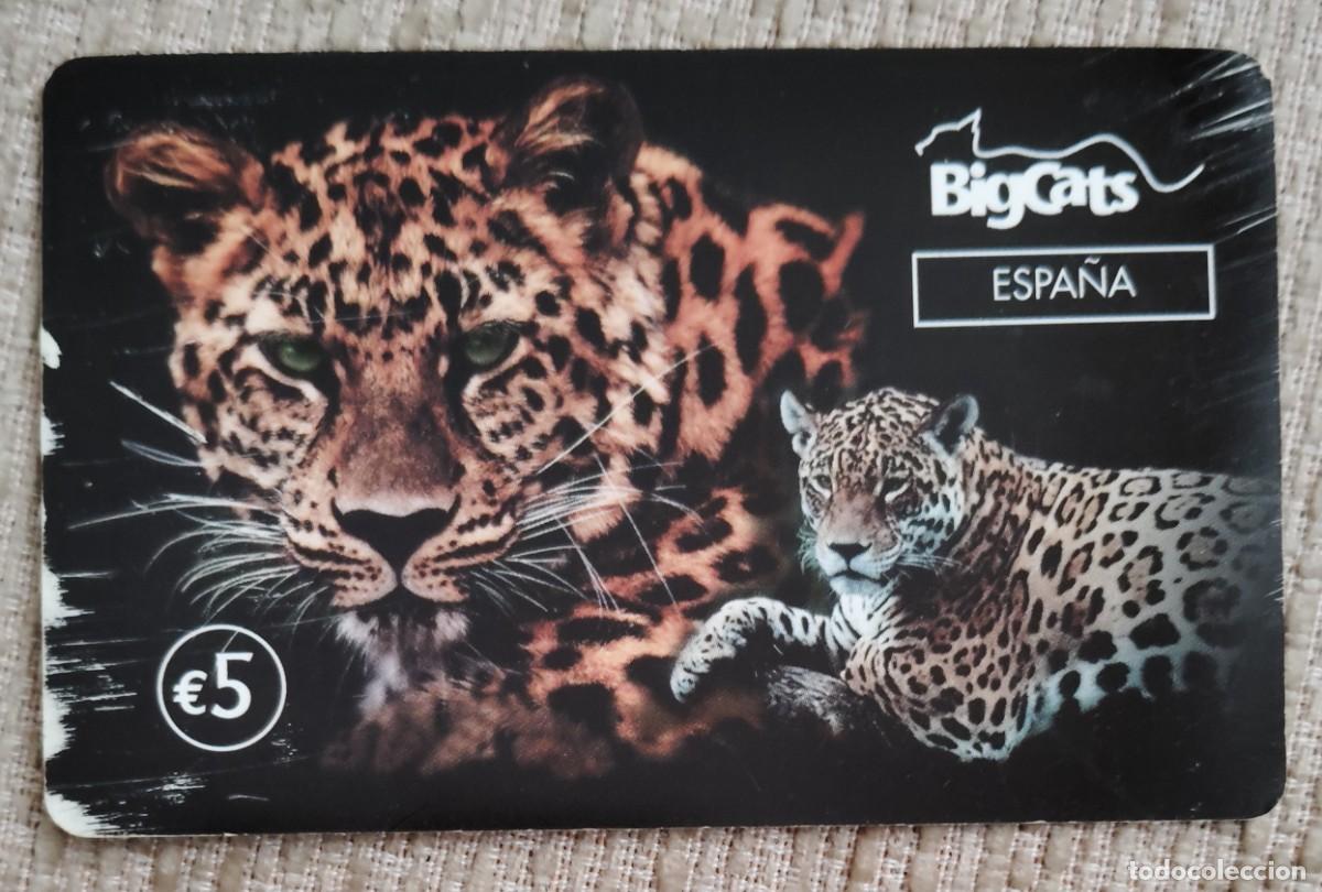 Tarjetas telef&oacute;nicas de colecci&oacute;n: Tarjeta telef&oacute;nica. BigCats