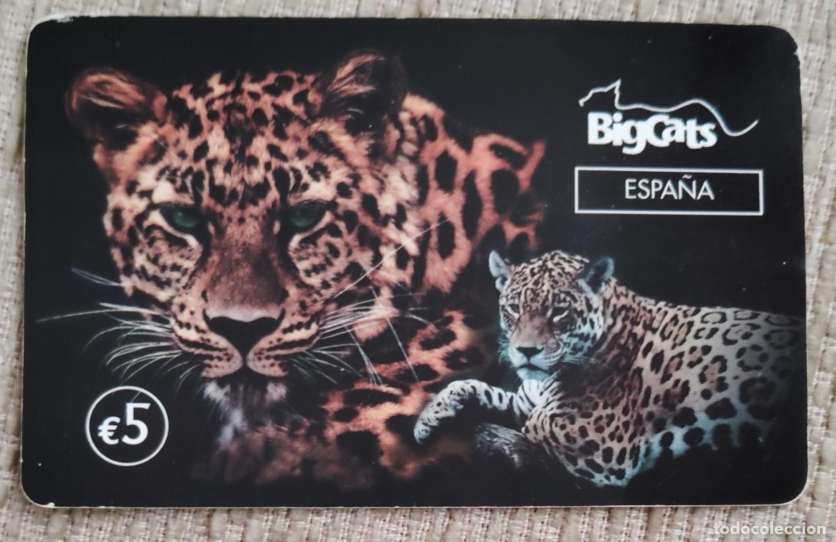 Tarjetas telef&oacute;nicas de colecci&oacute;n: Tarjeta telef&oacute;nica. BigCats