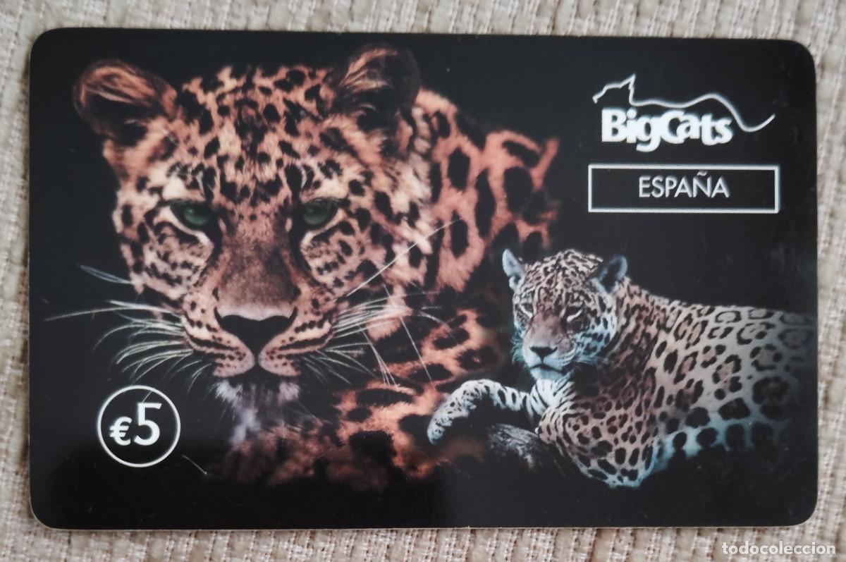 Tarjetas telef&oacute;nicas de colecci&oacute;n: Tarjeta telef&oacute;nica. BigCats